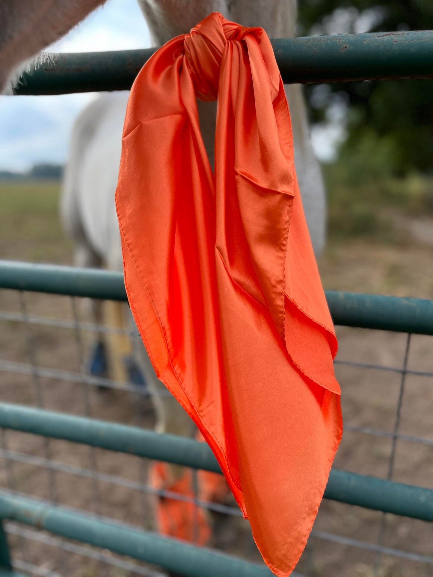 Orange Wild Rag