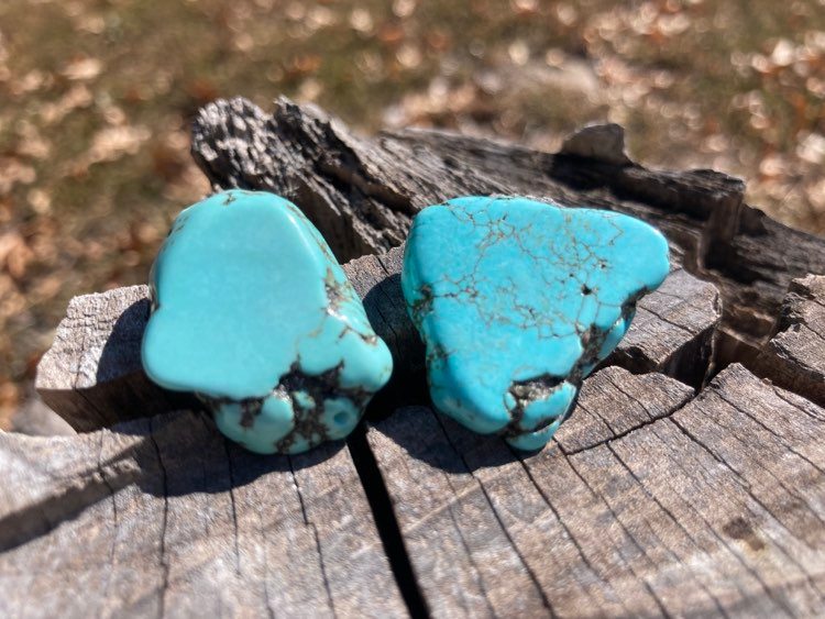 Turquoise McGrew Earrings - headquarters